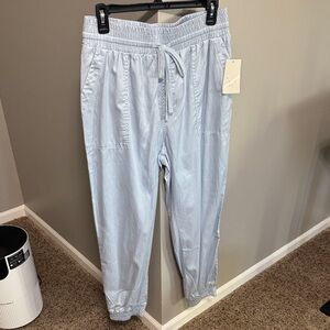 Target Light Blue Women's Cropped Pants